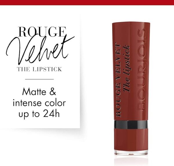 BJS ROUGE EDITION VELVET N°24 BLACK PLUM