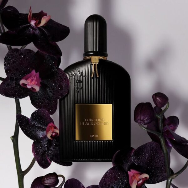 BLACK ORCHID